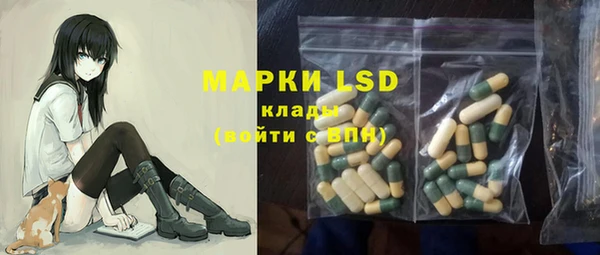 прущий лед Вяземский