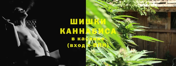 прущий лед Вяземский