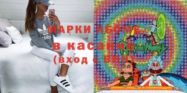 прущий лед Вяземский
