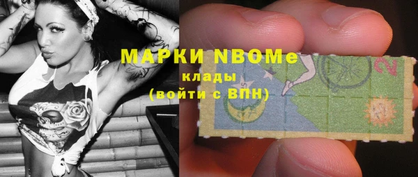 сатива Волоколамск