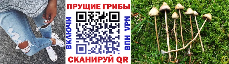 Галлюциногенные грибы MAGIC MUSHROOMS  Купить  Надым 